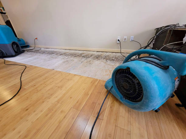 Professional Structural Drying technician working in Deshler, OH
